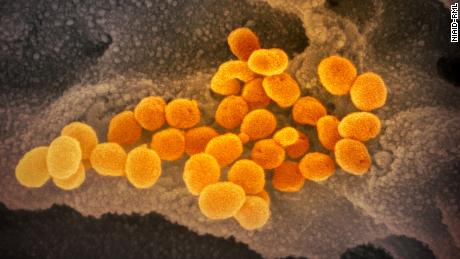 Coronavirus outbreak: updates from around the world