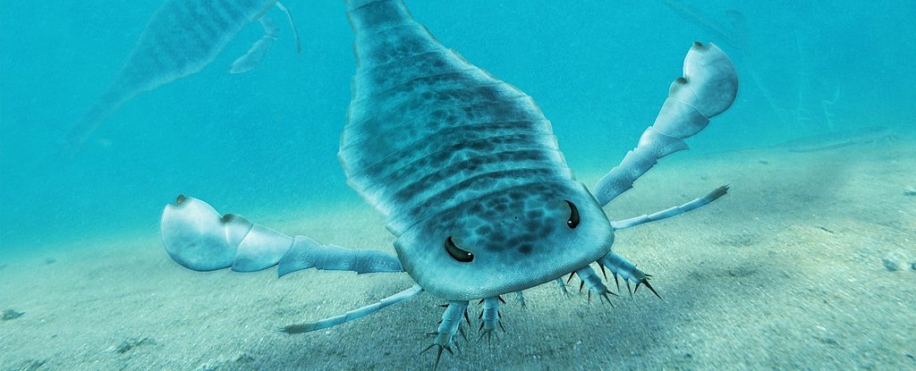 Gigantic Sea Scorpions, Some Larger Than Humans, Hunted in Ancient Oceans