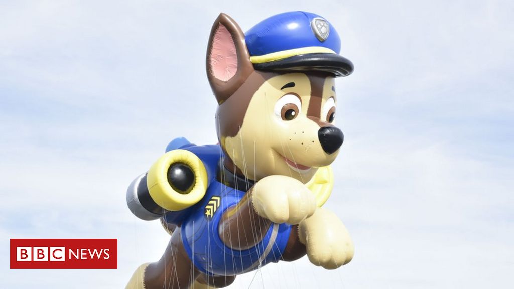 Paw Patrol: Cartoon not cancelled despite White House comments