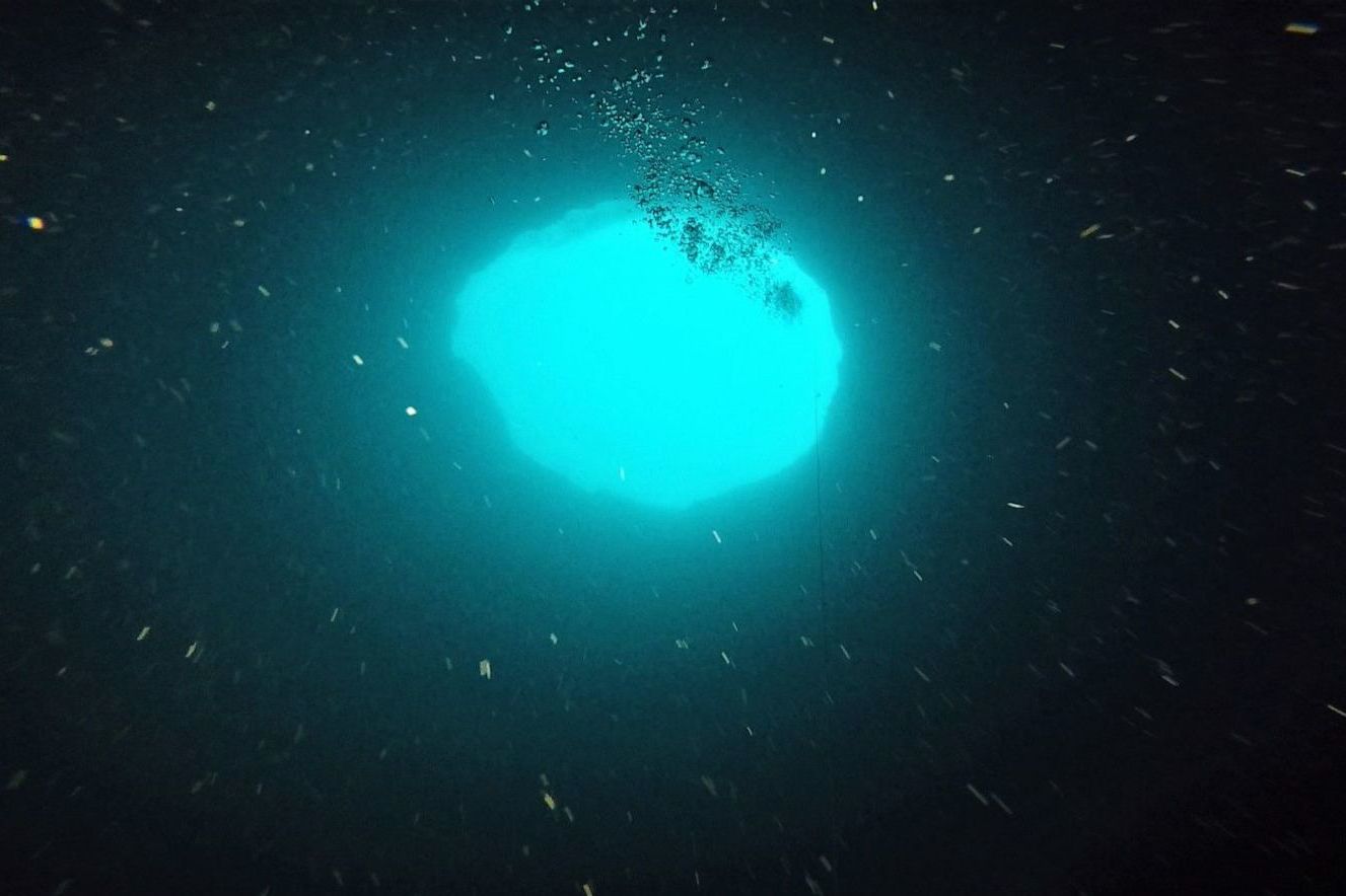 Scientists race to dive down mystery 130-metre deep 'blue hole' on Florida's Gulf Coast ocean floor