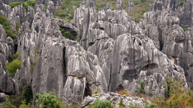 Mathematicians can unravel the mystery of how the "rock forest" is formed
