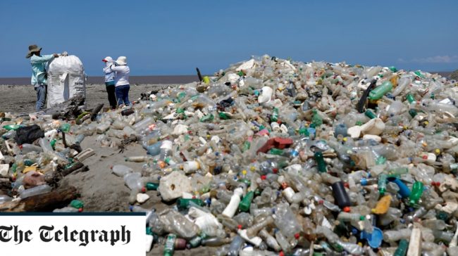 Enzyme eats plastic 6 times faster: Significant leap forward in pollution crisis