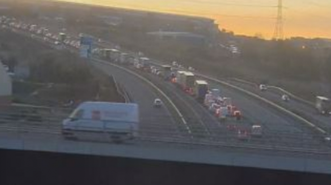 The woman confirmed that the driver was killed in a horrific accident on the M8